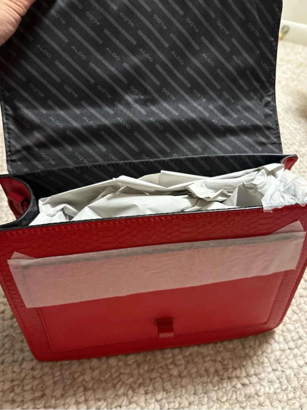 Aldo Chinese New Year / Year Of The Snake 2025 Purse Bag Lunar Year New Limited